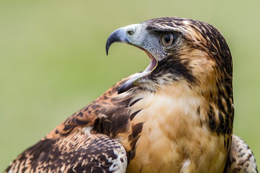  苹果应用商店佣金下调，中国开发者迎来显著利好；监管沟通成果显现，生态平衡逐步实现。 IT技术 苹果应用商店佣金下调，中国开发者迎来显著利好；监管沟通成果显现，生态平衡逐步实现。 IT技术 苹果应用商店佣金下调，中国开发者迎来显著利好；监管沟通成果显现，生态平衡逐步实现。 IT技术 苹果应用商店佣金下调，中国开发者迎来显著利好；监管沟通成果显现，生态平衡逐步实现。 IT技术