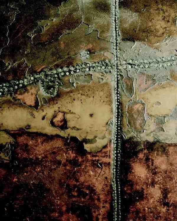  瑞典珍藏奇观，马尔姆蓝鲸标本内部别有洞天。 文化旅游 瑞典珍藏奇观，马尔姆蓝鲸标本内部别有洞天。 文化旅游