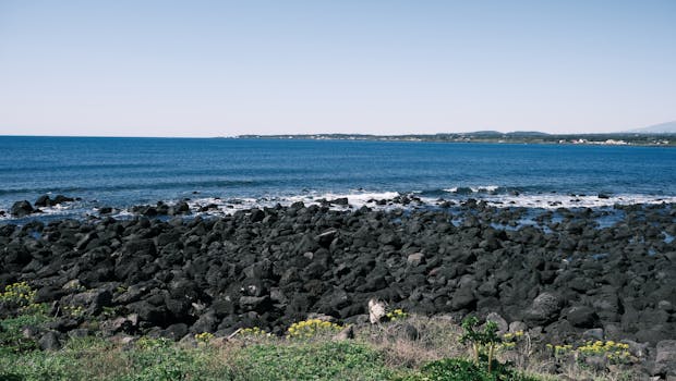  经济春意浓，创新花开；政策润物细，发展势如虹。 新闻