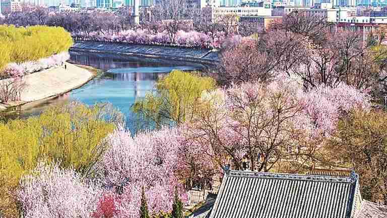 【文旅转型案例】运河桃花节沉浸式运营策略解析 新闻