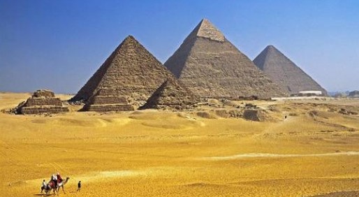  认知症照护指南：中日经验复用路径与实操策略 企业服务