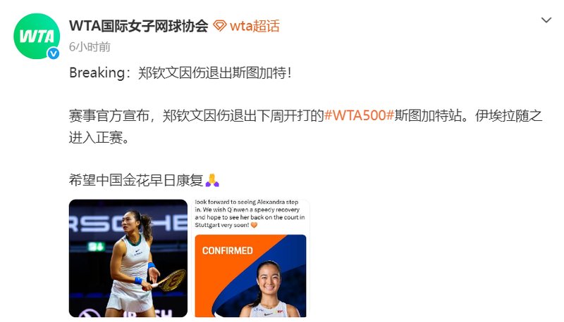  技术视角解析郑钦文退赛：从排名数据波动看职业网球选手的伤病风险管理 体育新闻