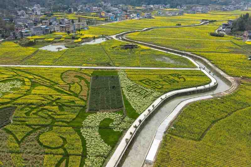 花海经济的技术解码：湖北宣恩如何用系统工程实现乡村蝶变 文化旅游