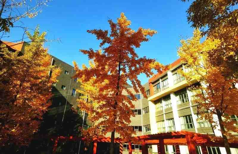  独家披露：非211院校隐藏实力，30所行业隐形冠军报考深度指南 教育招生