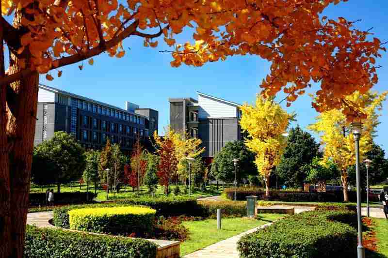  独家披露：非211院校隐藏实力，30所行业隐形冠军报考深度指南 教育招生