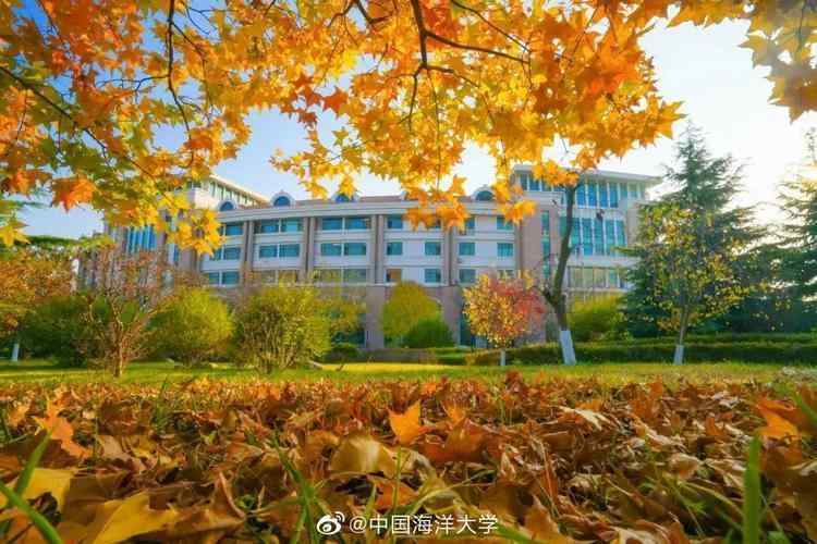  独家披露：非211院校隐藏实力，30所行业隐形冠军报考深度指南 教育招生