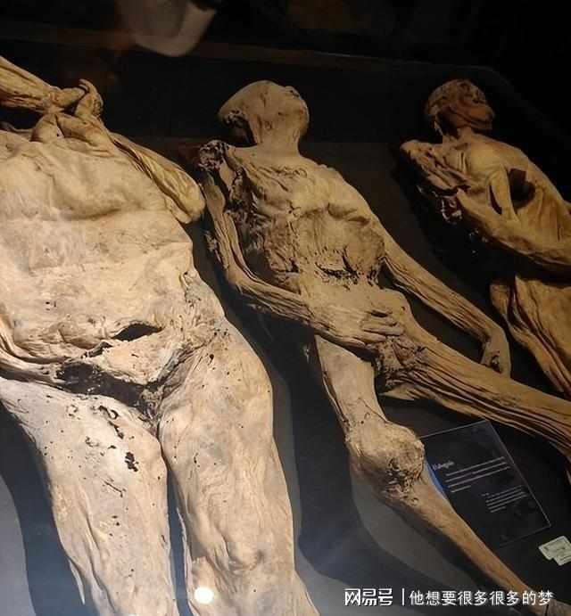  当"吃人"成为上流社会的养生时尚：那些荒唐又心酸的欧洲往事 新闻