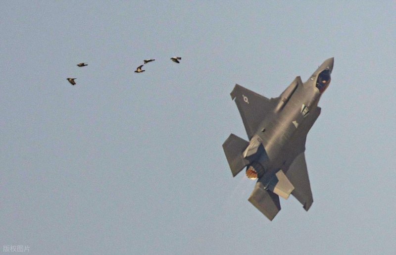  深度解析：美军72架战机采购背后的技术困局与战略迷思 新闻