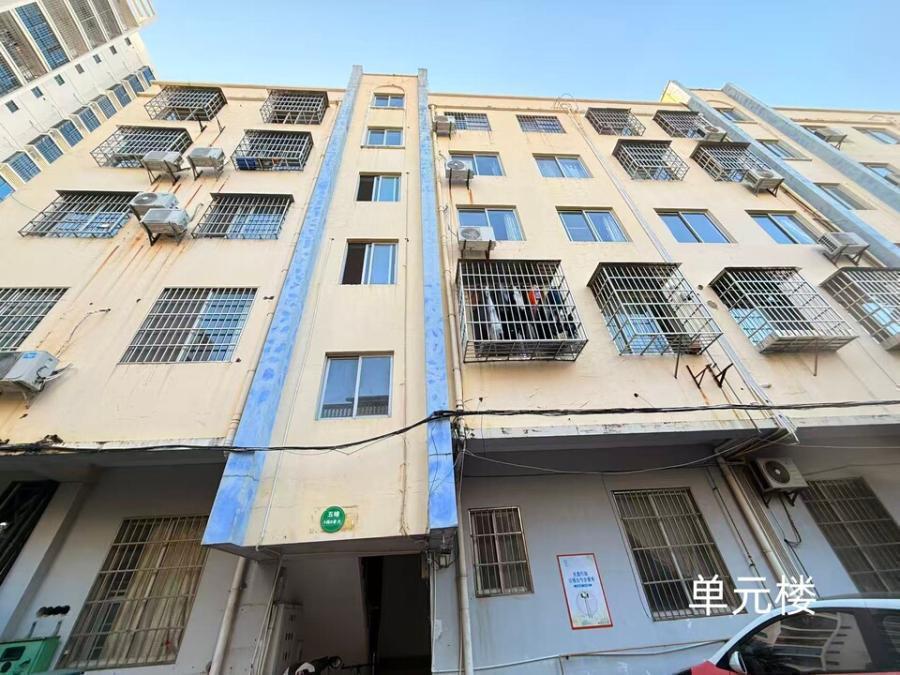  法拍房市场深度解析：北海125㎡大三房21.6万成交背后的价值逻辑 房产家居