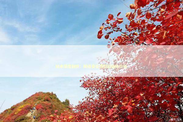 技术深度剖析：网络安全获取的独特价值 新闻