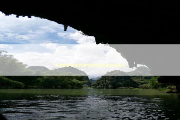 先进防护机制的独特特性与浏览安全优化 新闻