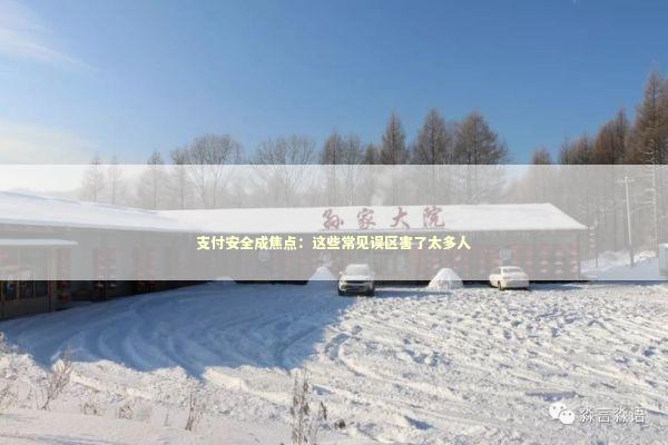 支付安全成焦点：这些常见误区害了太多人 新闻