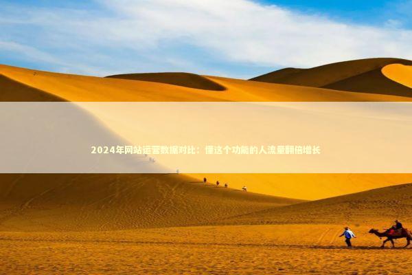 2024年网站运营数据对比：懂这个功能的人流量翻倍增长 IT技术