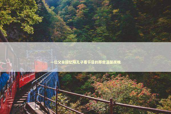 一位父亲回忆陪儿子看节目的那些温馨夜晚 教育招生