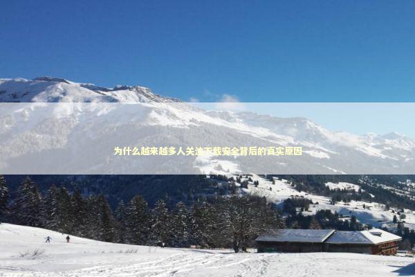 为什么越来越多人关注下载安全背后的真实原因 IT技术