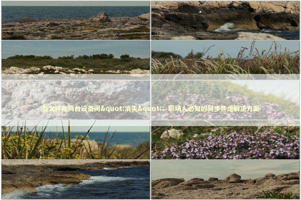 当文件在两台设备间"消失"：职场人必知的同步焦虑解决方案 IT技术