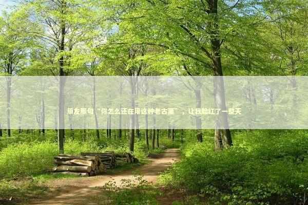 朋友那句“你怎么还在用这种老古董”，让我脸红了一整天 IT技术