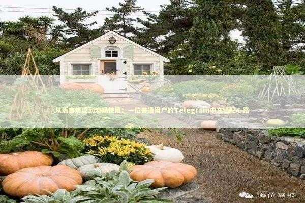 从语言焦虑到流畅使用：一位普通用户的Telegram中文适配心路